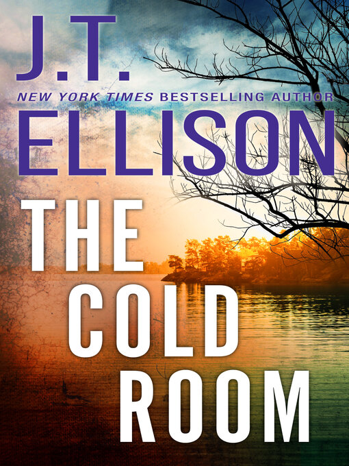 Cover image for The Cold Room
